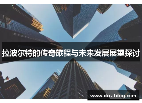 拉波尔特的传奇旅程与未来发展展望探讨