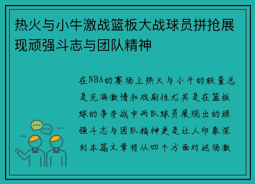 热火与小牛激战篮板大战球员拼抢展现顽强斗志与团队精神