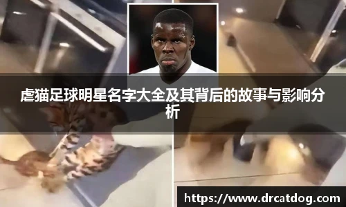 虐猫足球明星名字大全及其背后的故事与影响分析